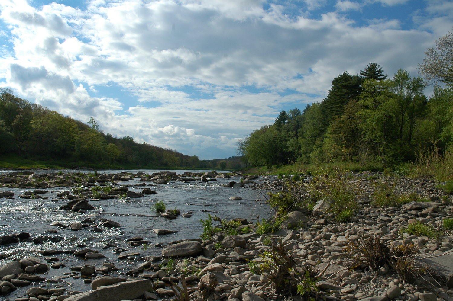 “To put your hands in a river is to feel the cords that bind the earth together,” wrote Barry Lopez, recipient of the National Book Award in 1986 for his nonfiction work, “Arctic Dreams.” Many who live in or visit the Delaware River region have been inspired by a similar sense of kinship with this iconic river.
